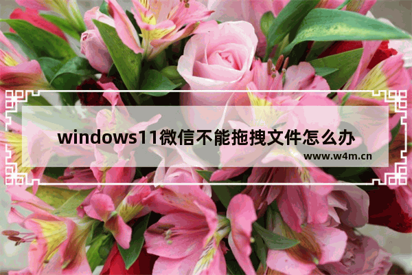 windows11微信不能拖拽文件怎么办 windows11微信不能拖拽文件的解决方法