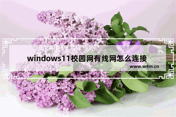 windows11校园网有线网怎么连接 windows11校园网有线网连接方法