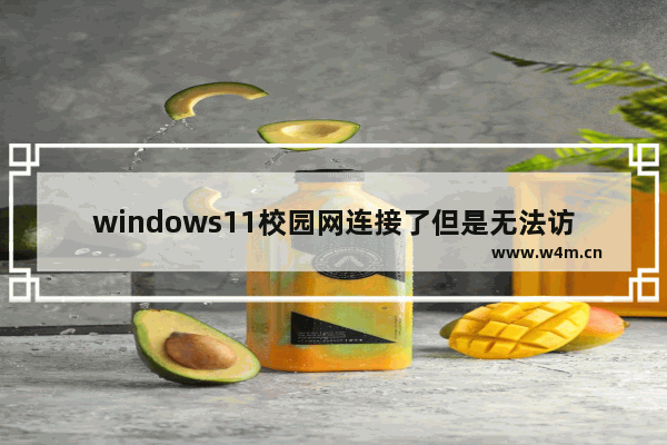 windows11校园网连接了但是无法访问网络怎么办 windows11校园网连接了但是无法访问网络解决方法