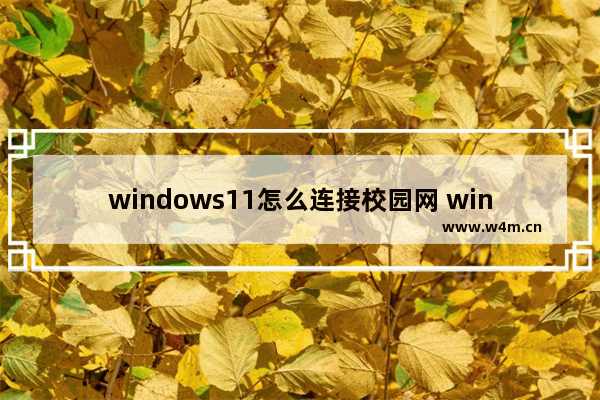 windows11怎么连接校园网 windows11连接校园网方法