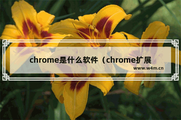 chrome是什么软件（chrome扩展工具哪个好）