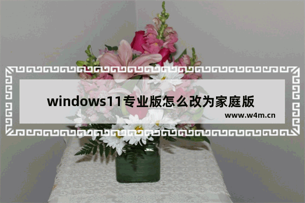 windows11专业版怎么改为家庭版 windows11专业版改为家庭版问题解析