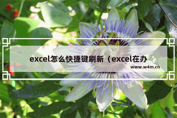 excel怎么快捷键刷新（excel在办公自动化中的实用技巧）