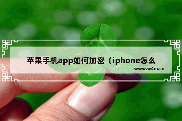 苹果手机app如何加密（iphone怎么给app加密码锁）