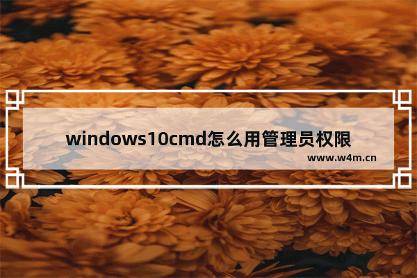 windows10cmd怎么用管理员权限 windows10cmd怎么用管理员权限方法