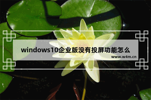 windows10企业版没有投屏功能怎么办 windows10企业版没有投屏功能解决方法