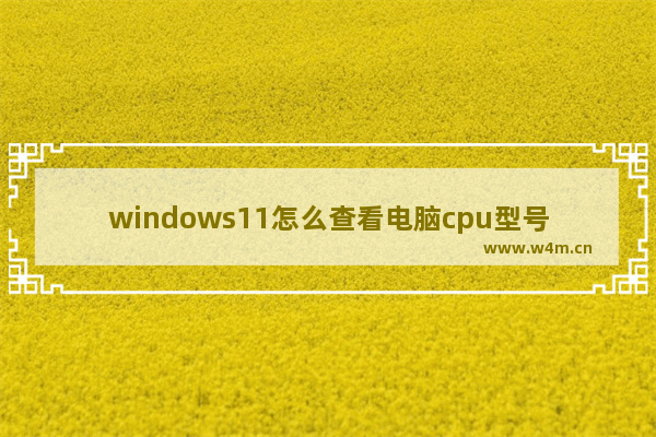 windows11怎么查看电脑cpu型号 windows11系统查看cpu型号方法介绍