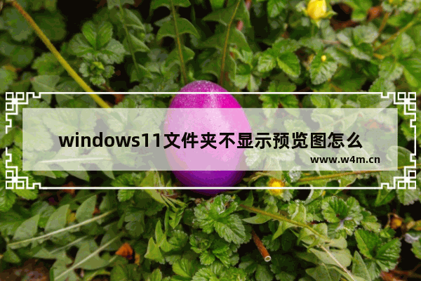 windows11文件夹不显示预览图怎么办 windows11文件夹不显示预览图的解决方法