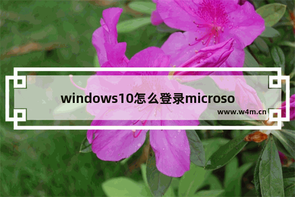 windows10怎么登录microsoft账户 windows10登录microsoft账户教程