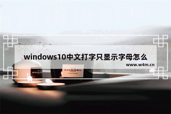 windows10中文打字只显示字母怎么办 windows10中文打字只显示字母解决办法