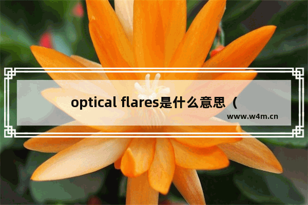 optical flares是什么意思（ae的镜头光晕特效在哪）