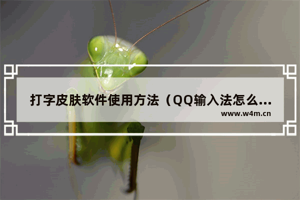 打字皮肤软件使用方法（QQ输入法怎么更换皮肤）