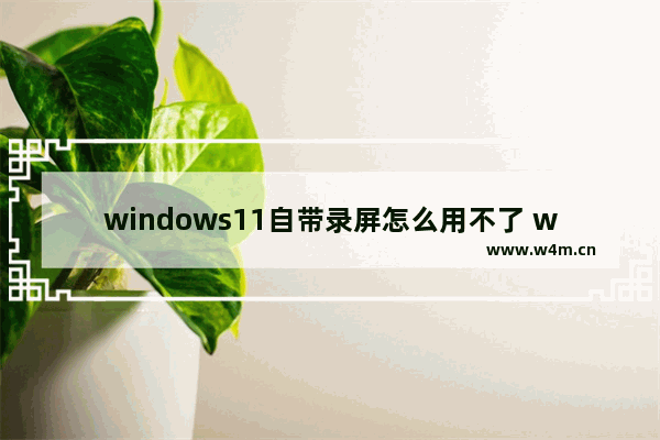 windows11自带录屏怎么用不了 windows11自带录屏怎么用不了解决方法