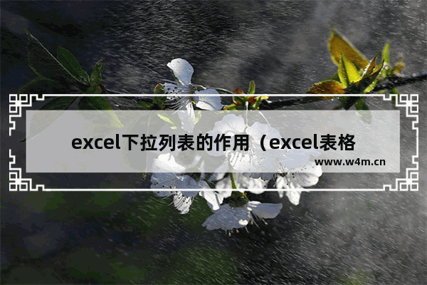 excel下拉列表的作用（excel表格输入关键字下拉选功能介绍）