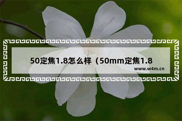 50定焦1.8怎么样（50mm定焦1.8和1.4区别）