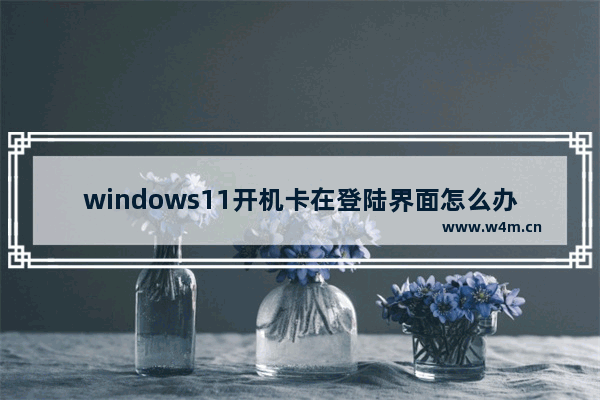 windows11开机卡在登陆界面怎么办 windows11开机卡在登陆界面解决办法