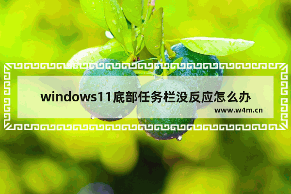 windows11底部任务栏没反应怎么办 windows11底部任务栏没反应解决办法