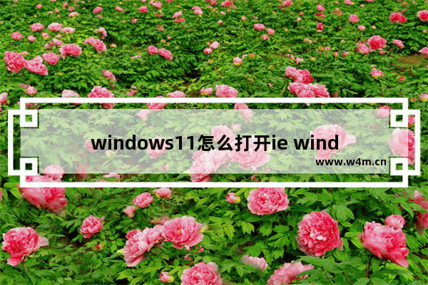 windows11怎么打开ie windows11打开ie方法教学