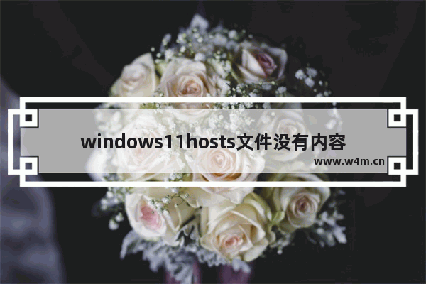 windows11hosts文件没有内容怎么办 windows11hosts文件空白的修复教程