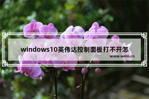 windows10英伟达控制面板打不开怎么办 windows10英伟达控制面板打不开解决方法