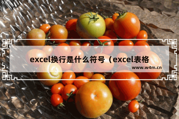 excel换行是什么符号（excel表格怎么换行）