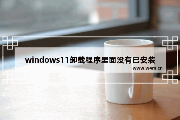 windows11卸载程序里面没有已安装的系统文件怎么办 windows11卸载程序里面没有已安装的系统文件解决办法