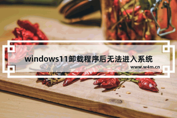 windows11卸载程序后无法进入系统怎么办 windows11卸载程序后无法进入系统解决办法