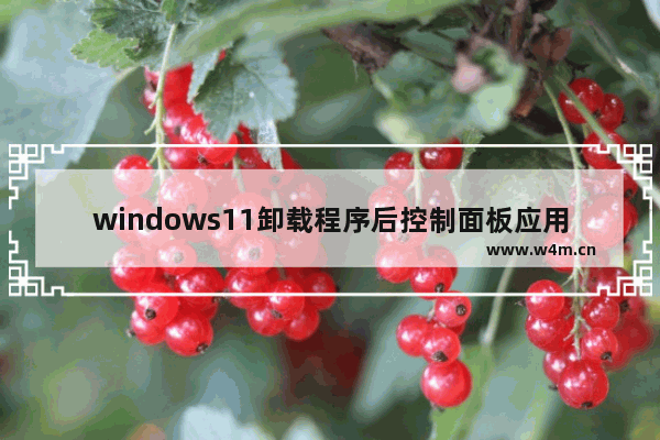 windows11卸载程序后控制面板应用里仍存在怎么办 windows11卸载程序后控制面板应用里仍存在解决办法