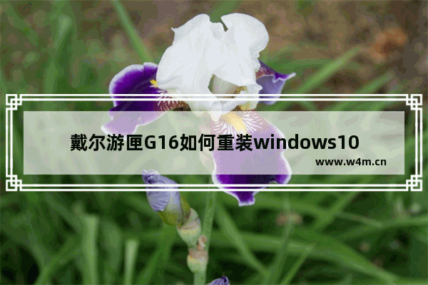 戴尔游匣G16如何重装windows10系统 重装游匣G16windows10系统的方法