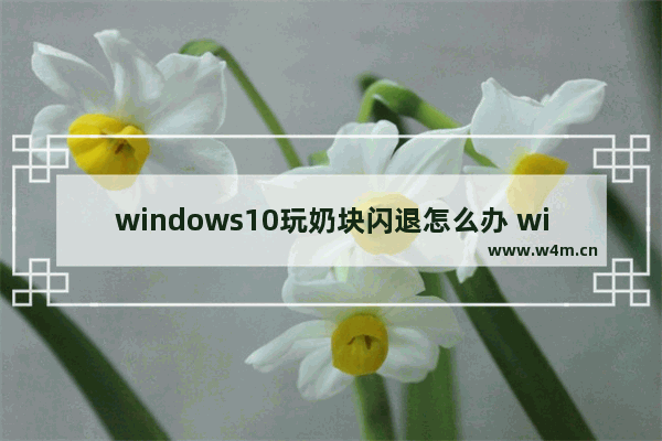 windows10玩奶块闪退怎么办 windows10玩奶块闪退的解决方法