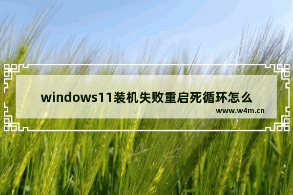 windows11装机失败重启死循环怎么办 windows11装机失败重启死循环解决方法