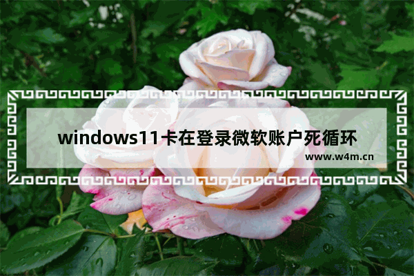 windows11卡在登录微软账户死循环怎么回事 windows11卡在登录微软账户死循环问题解析