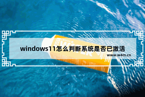 windows11怎么判断系统是否已激活 windows11判断系统是否已激活的方法