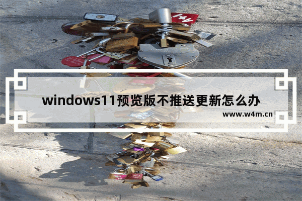 windows11预览版不推送更新怎么办 windows11预览版不推送更新解决方法