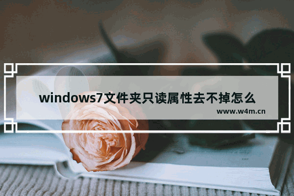 windows7文件夹只读属性去不掉怎么办 windows7文件夹只读属性去不掉解决方法