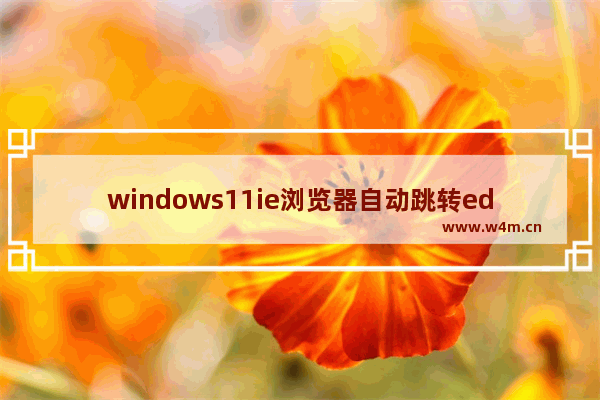 windows11ie浏览器自动跳转edge怎么恢复 windows11ie浏览器自动跳转edge恢复教程