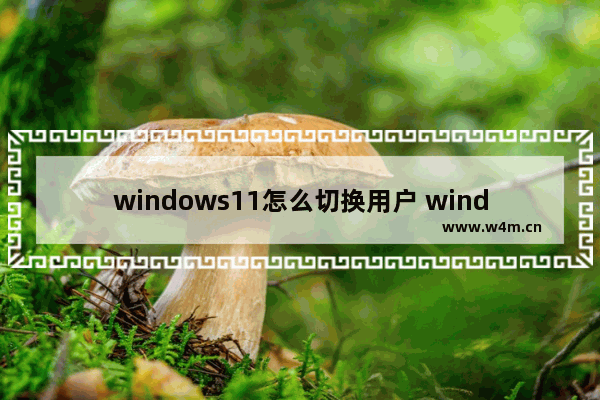 windows11怎么切换用户 windows11切换用户方法