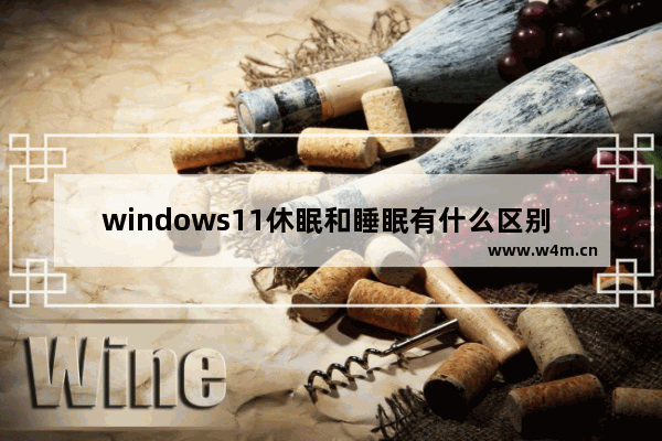 windows11休眠和睡眠有什么区别 windows11休眠和睡眠的区别介绍