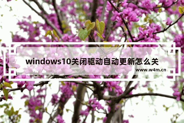 windows10关闭驱动自动更新怎么关闭 windows10关闭驱动自动更新方法