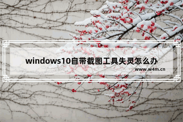 windows10自带截图工具失灵怎么办 windows10自带截图工具失灵解决方法