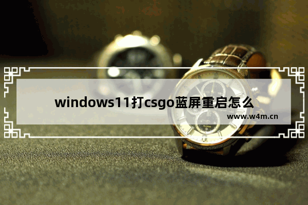 windows11打csgo蓝屏重启怎么办 windows11打csgo蓝屏的解决方法