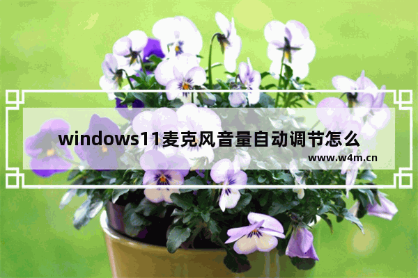 windows11麦克风音量自动调节怎么办 windows11输入音量乱跳的解决方法