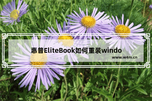 惠普EliteBook如何重装windows10系统 惠普EliteBook重装windows10系统教程