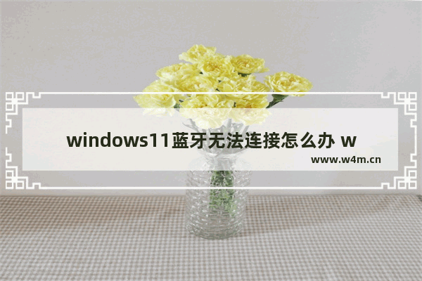 windows11蓝牙无法连接怎么办 windows11蓝牙无法连接解决办法