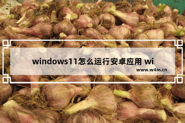 windows11怎么运行安卓应用 windows11运行安卓应用方法教程