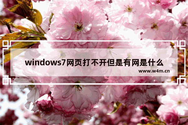 windows7网页打不开但是有网是什么原因 windows7网页打不开但是有网怎么回事