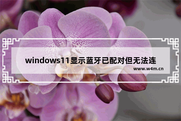 windows11显示蓝牙已配对但无法连接怎么办 windows11蓝牙已配对但无法连接的解决方法