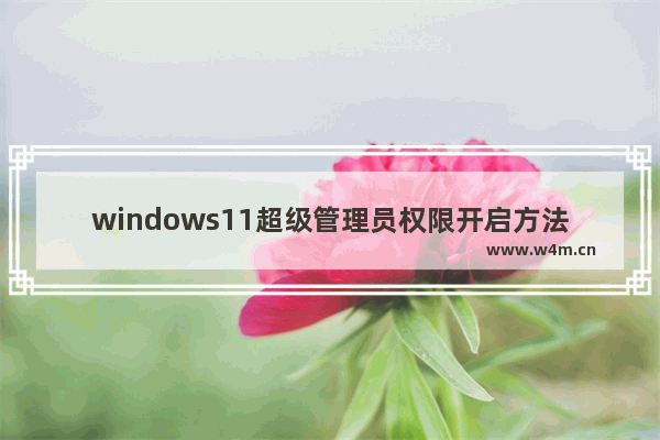 windows11超级管理员权限开启方法 windows11超级管理员权限开启教程