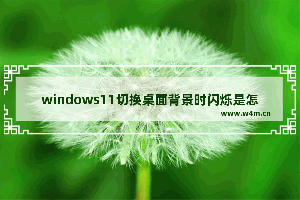 windows11切换桌面背景时闪烁是怎么回事 windows11切换桌面背景时闪烁解决方法