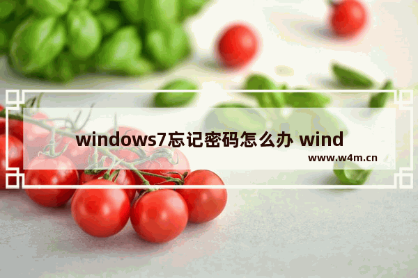 windows7忘记密码怎么办 windows7忘记密码解决方法